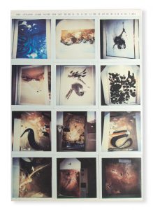 [WHITELEY]. Life and death : a visual experience in opposites