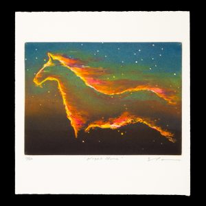Tim Storrier (deluxe edition with signed etching)