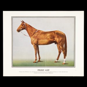 Phar lap