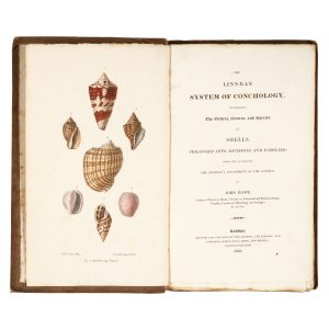 The Linnaean system of conchology, describing the orders, genera, and species of shells,