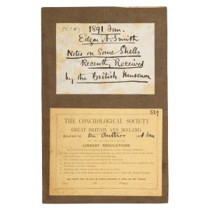 [NEW GUINEA; CONCHOLOGY] Notes on some shells recently received by the British Museum.