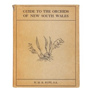 Guide to the orchids of New South Wales